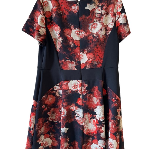 Dress - Picture 5 of 6